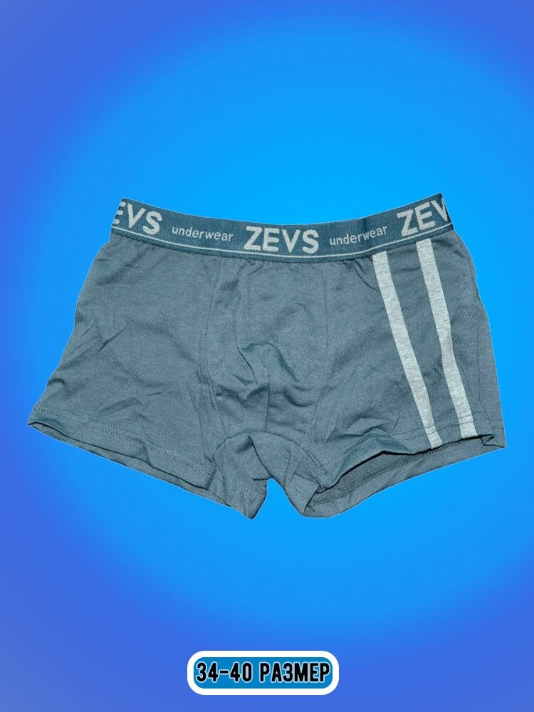 Трусы Zevs, 2 шт., размер L, синий — фото 1