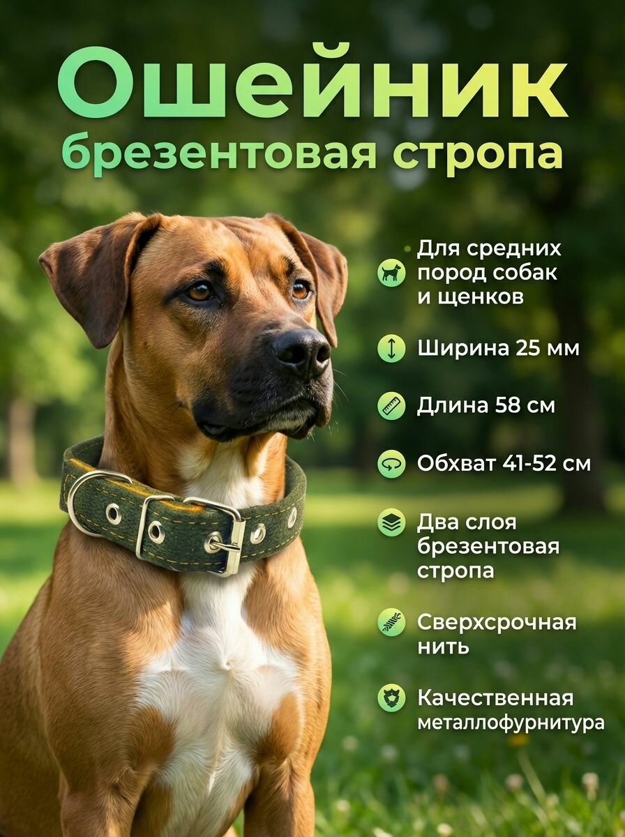 Ошейник брезентовый двухслойный для собак средних пород и щенков. Ширина 25 мм, длина 58 см, объём шеи 41-52 см.
