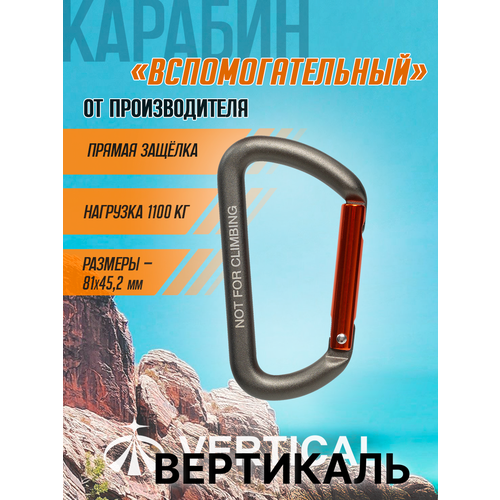 Карабин вспомогательный 