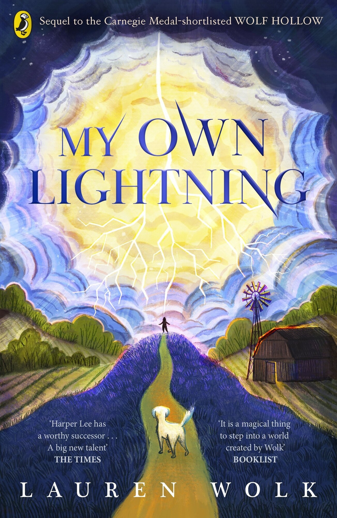 My Own Lightning / Книга на Английском