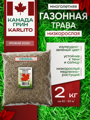 Изображение товара Газонная трава семена Канада Грин Низкорослая 2 кг / Canada Green Karlito 2 кг / мятлик, овсяница