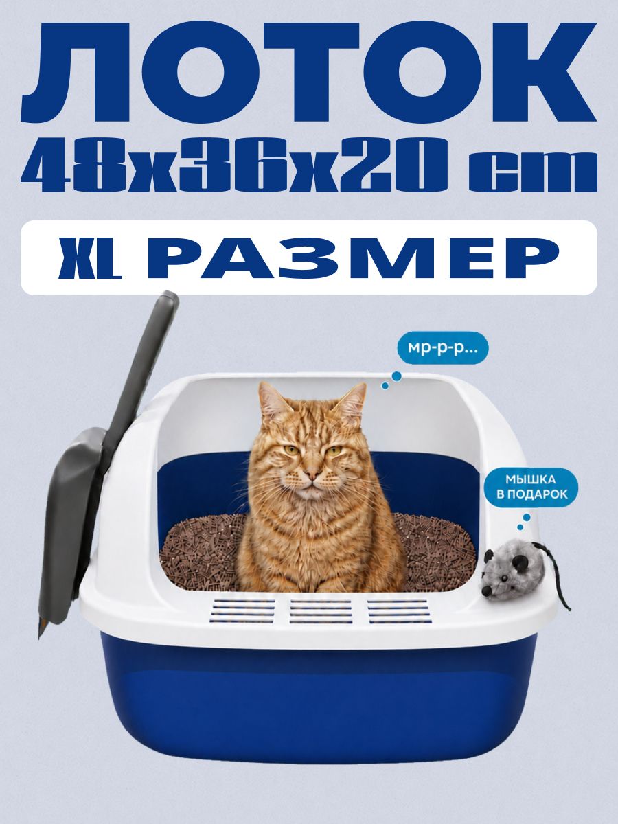 Лоток для кошек большой, с высоким бортом / синего цвета / 48x36x20см