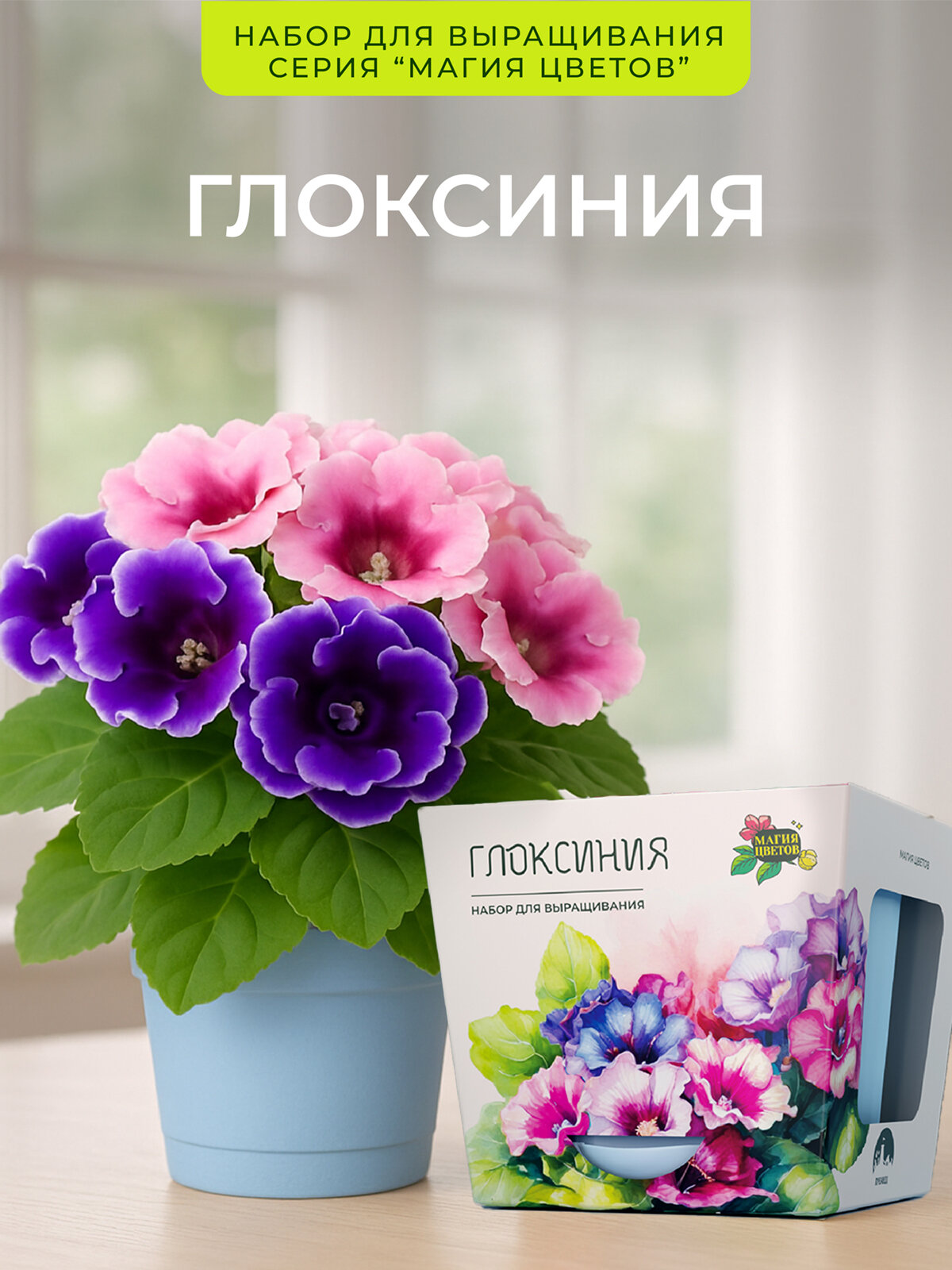 Глоксиния Набор для выращивания растений от бренда 