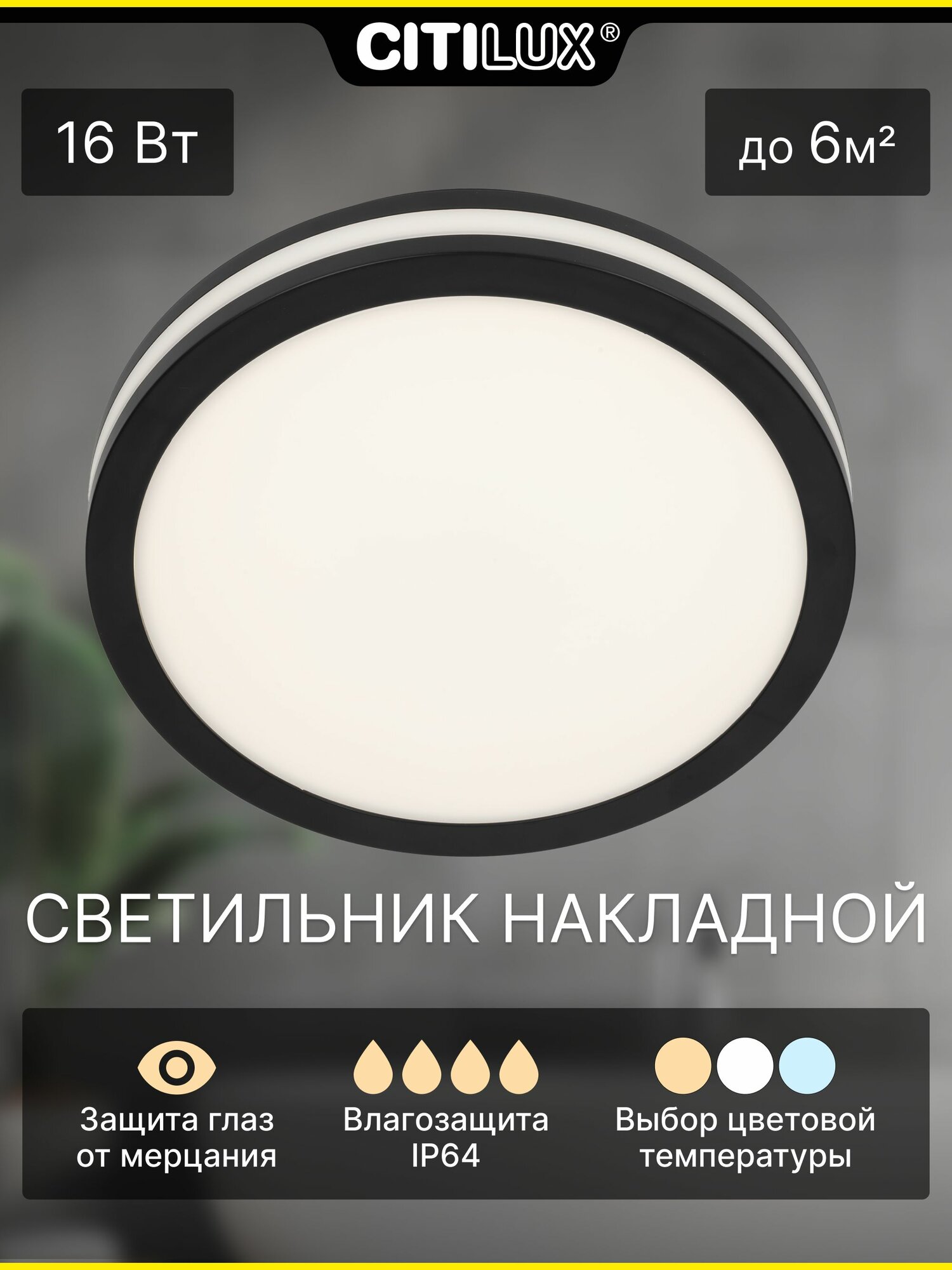 Светодиодный влагозащищённый накладной светильник Citilux LUNS CL711011V круглый IP64 18Вт черный