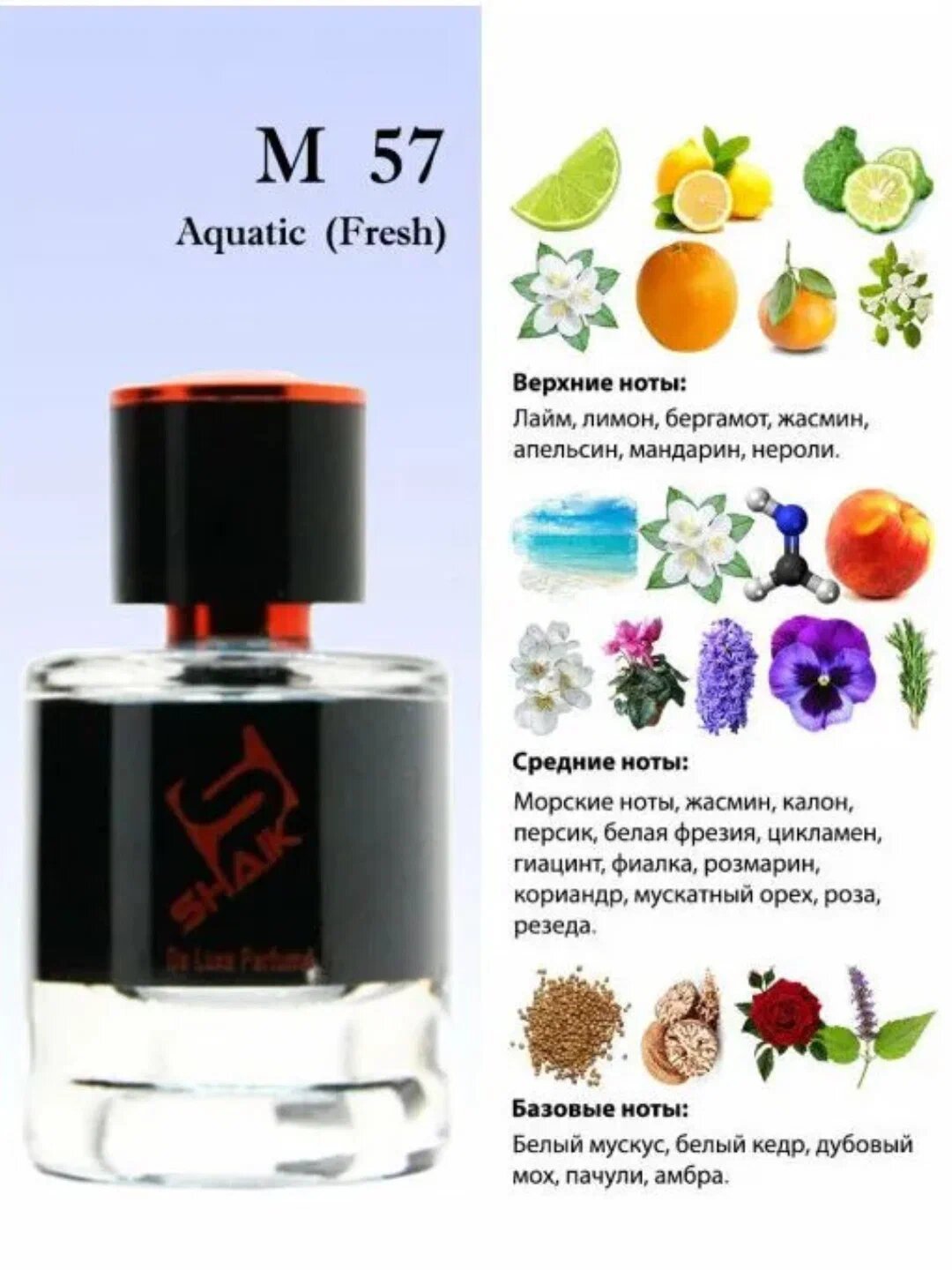 Парфюмерная вода Acqua di Gio Giorgio Armani , Shaik № 57, для мужчин, 100 мл