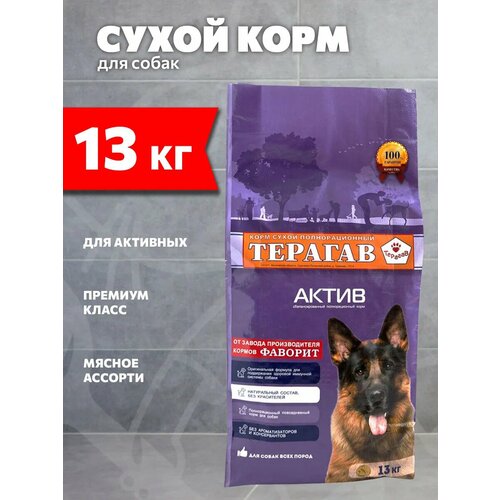 фото Терагав актив для активных взрослых собак всех пород (13 кг)