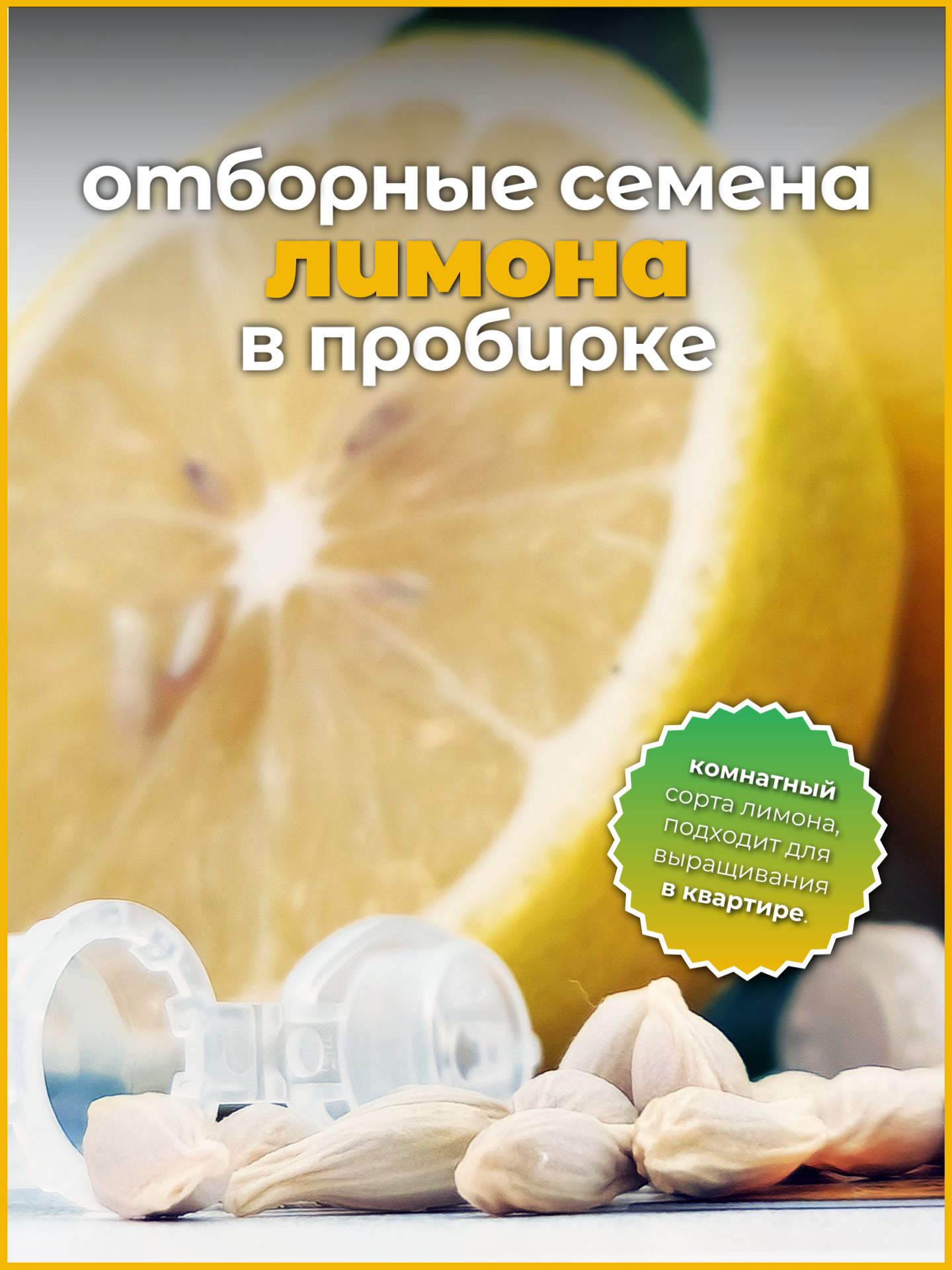 Домашний лимон, семена лимонного дерева Пандероза и Новогрузинский 6 шт. — фото 1