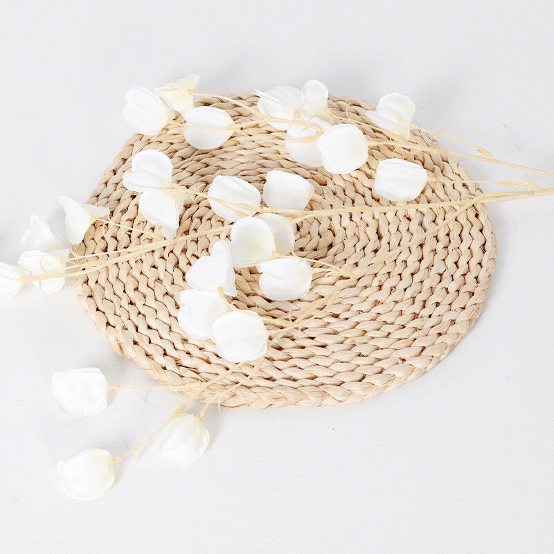 Потолочный декор физалис перувиана с шелковыми цветами для дома на улице и фотосессий белый