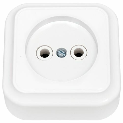 Розетка одинарная о/у белая РА16-255 Пралеска