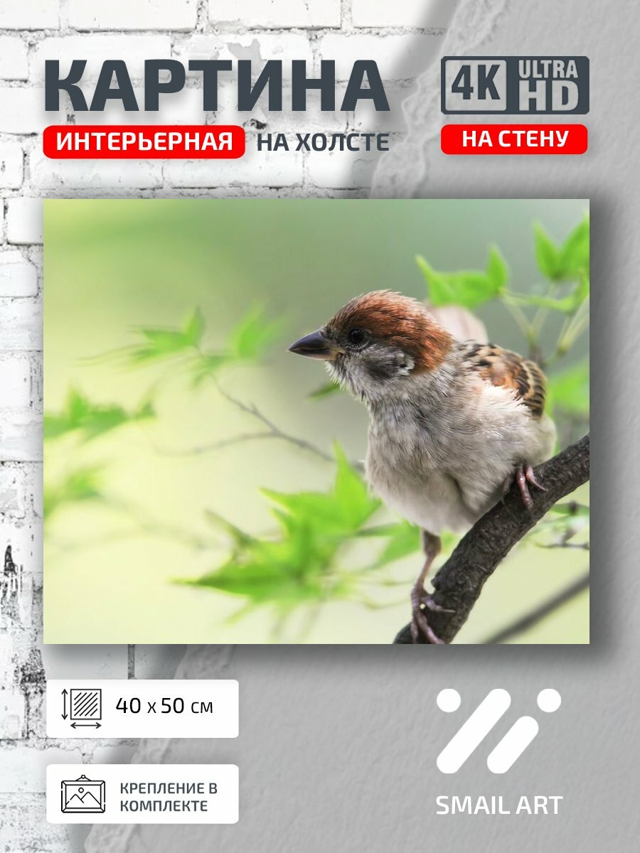 Картина на холсте интерьерная 40 на 50 на стену Ветке Mood для офиса атмосфера интерьер