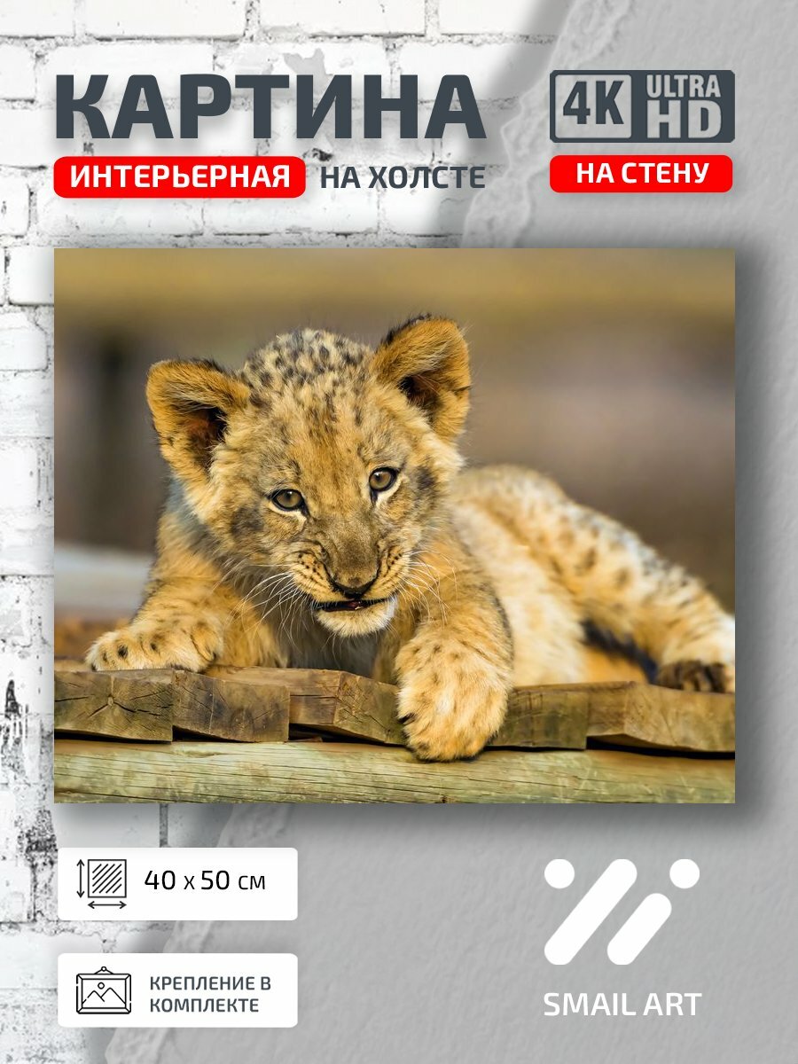 Картина на холсте интерьерная 40 на 50 на стену Рысь Landscape для гостиной пейзаж интерьер