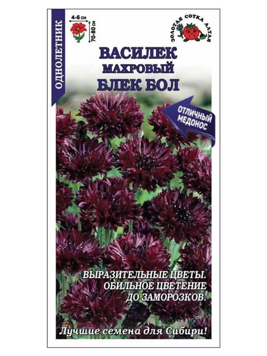 Василек Блек Болл махровый 03г