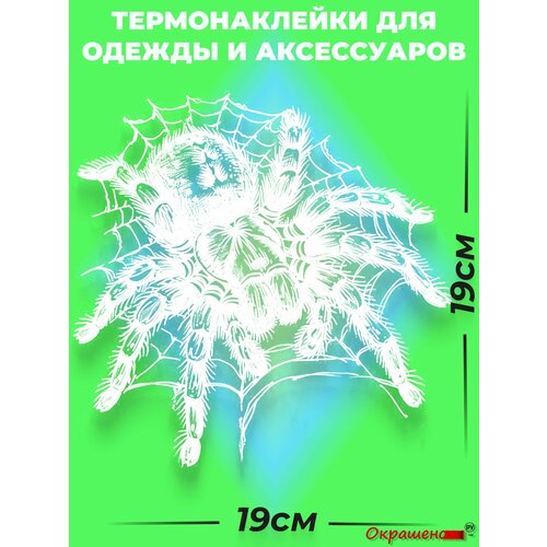 фото Термонаклейка / термотрансфер для декора одежды и аксессуаров "тарантул в паутине" окрашенору