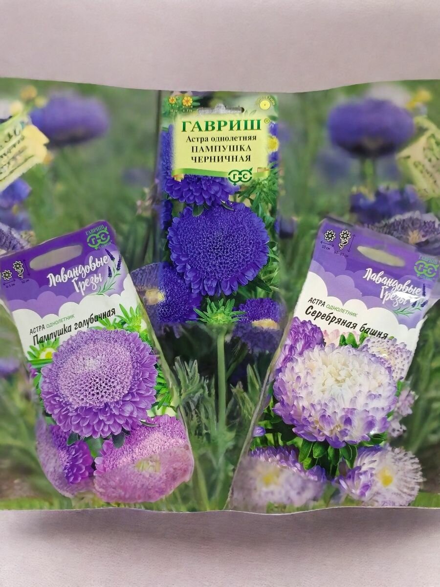 Набор астр лавандовый микс Агрофирмы Гавриш 3 сорта. Пампушка голубичная 0.3г  Пампушка черничная 0.3г. Серебрянная башня 0.3г.