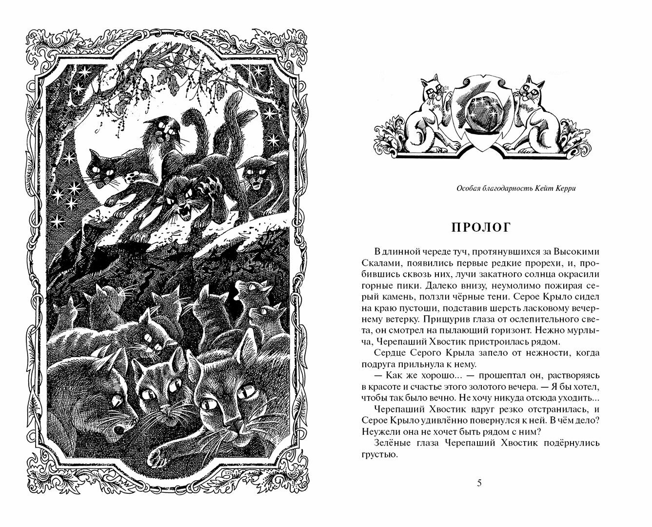 Звёздная тропа — фото 1