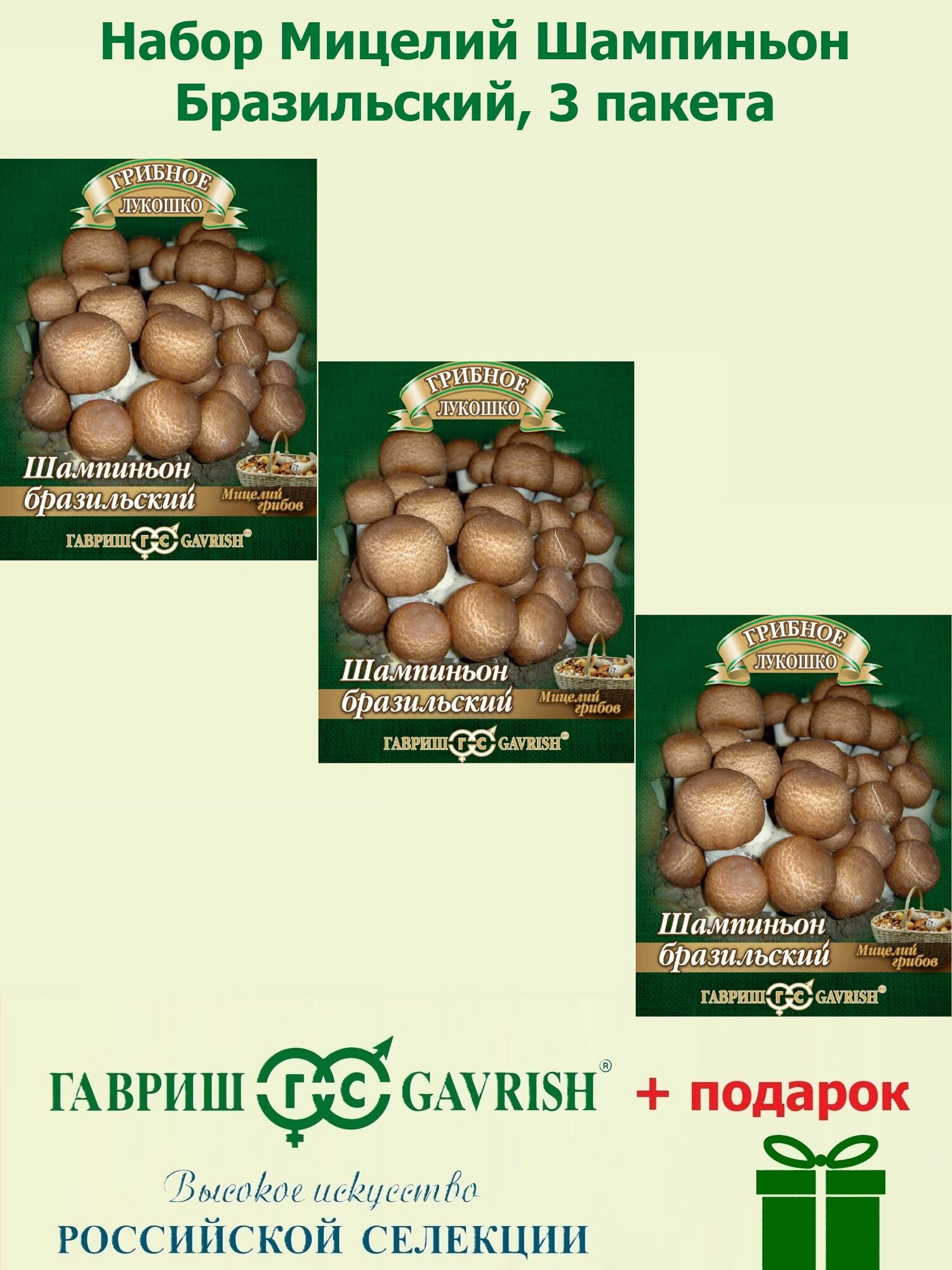 Набор Мицелий Шампиньон Бразильский на зерновом субстрате 3 пакета