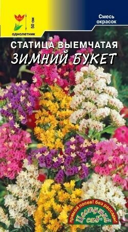 Семена Статица Зимний букет Цветущий сад