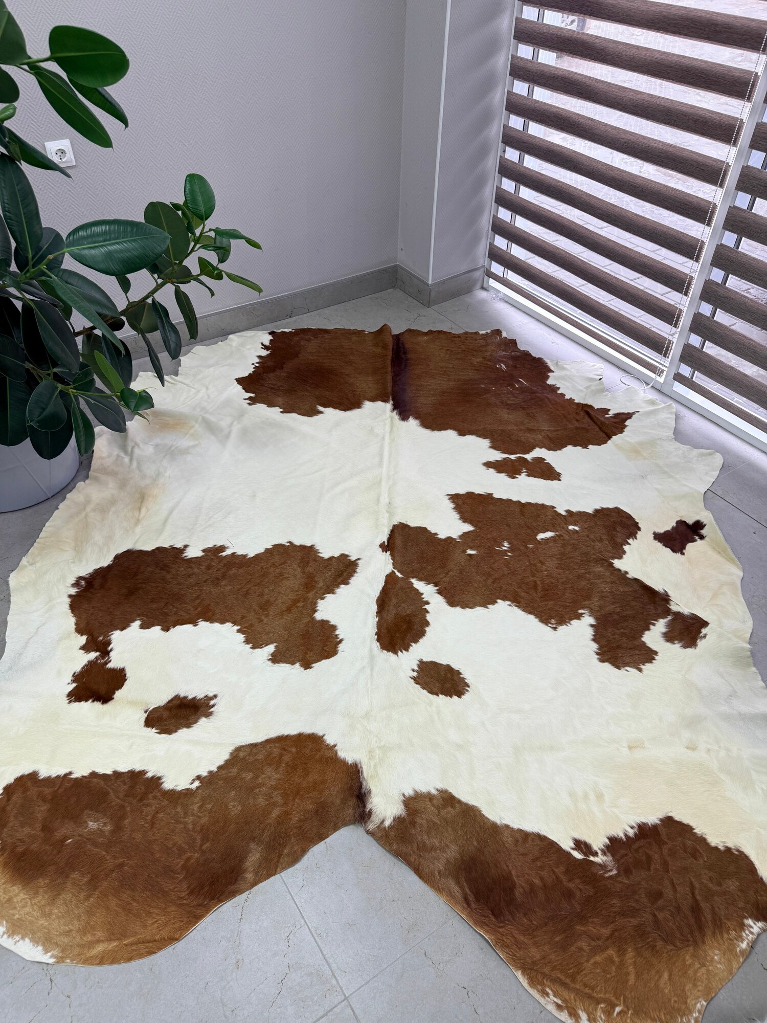 Коровья шкура на пол натуральная. 200 х 190 см