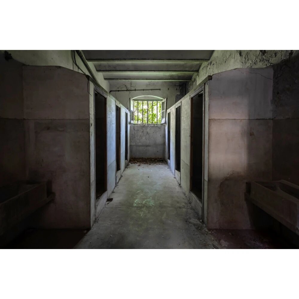 Фотофон виниловый "Страшная больница" 90x60см, MX9168
