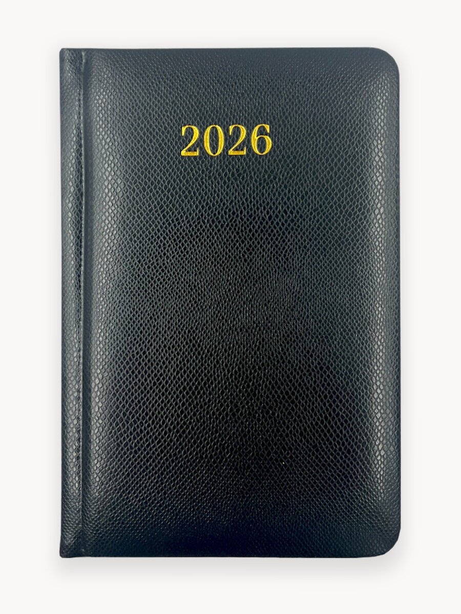 Ежедневник датированный на 2026 год AXLER, блокнот планер для записей, записная книжка, черная А6