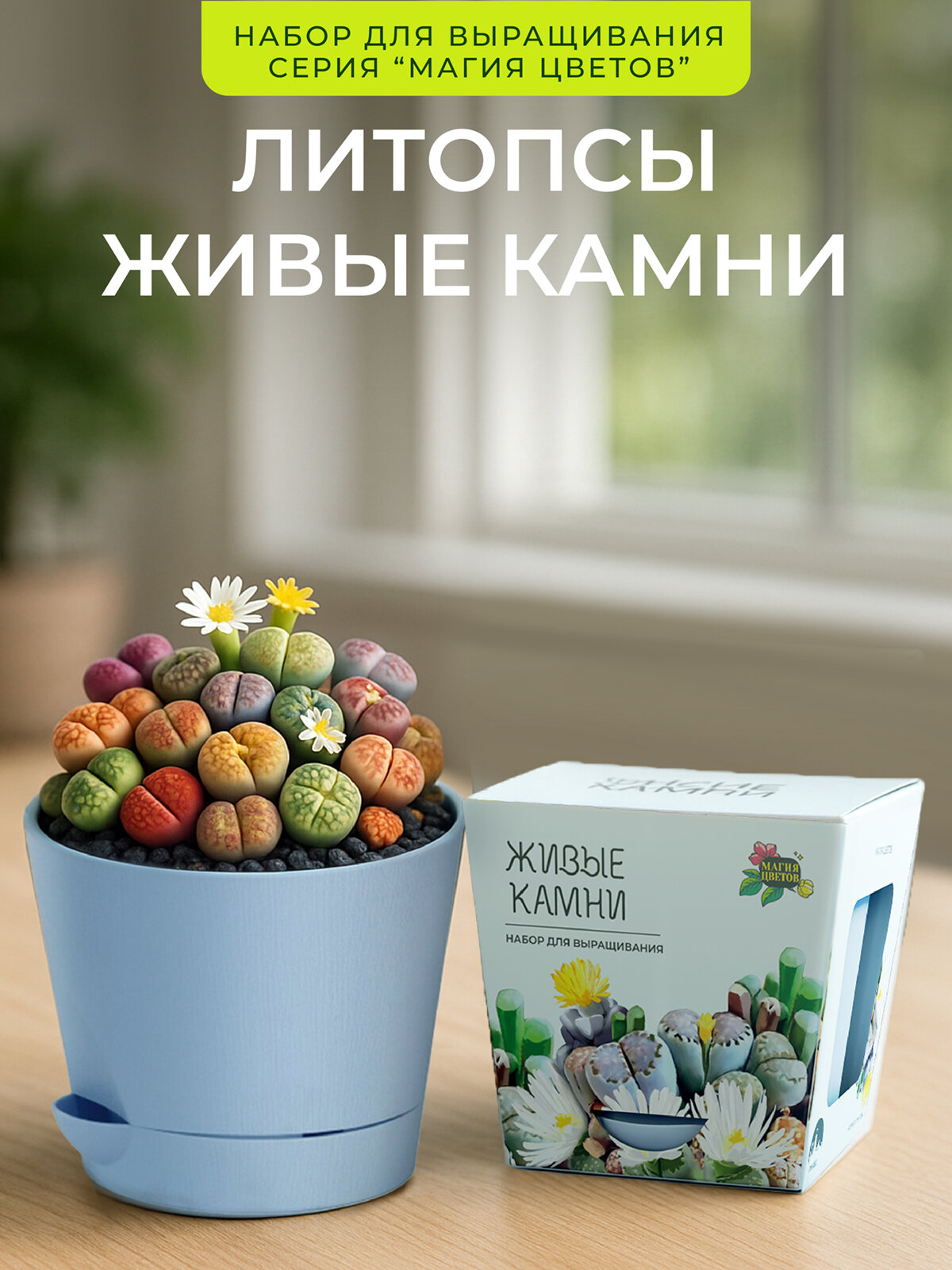 Набор для выращивания растений от бренда