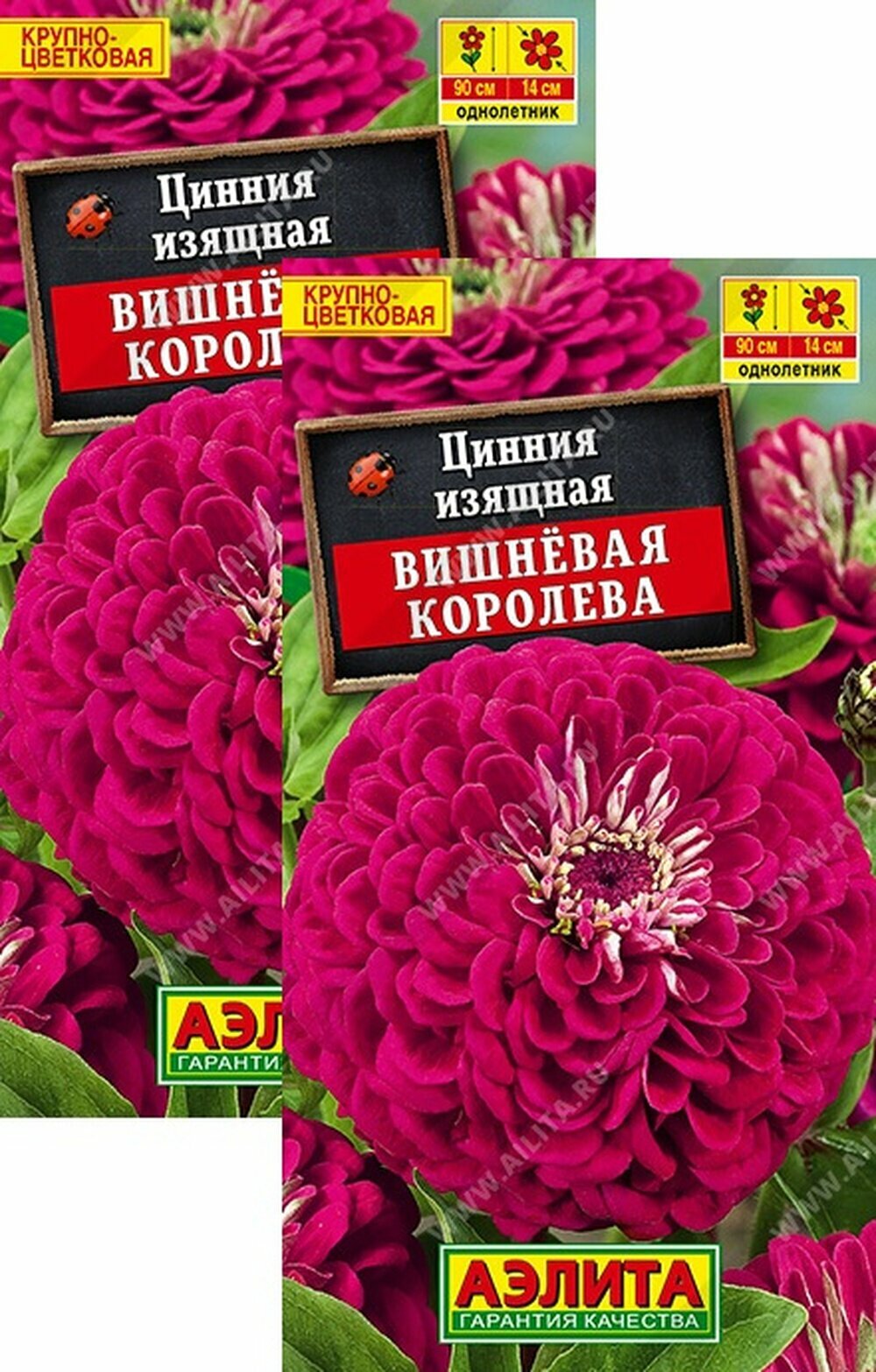 Семена Цинния Вишневая королева (03 г) 2 пакета Агрофирма Аэлита