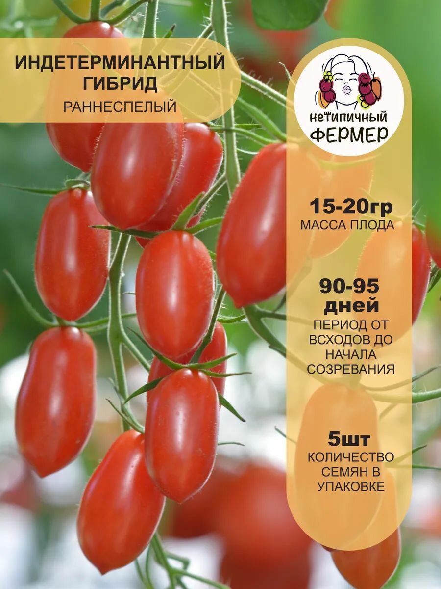 Томат Розовый агат