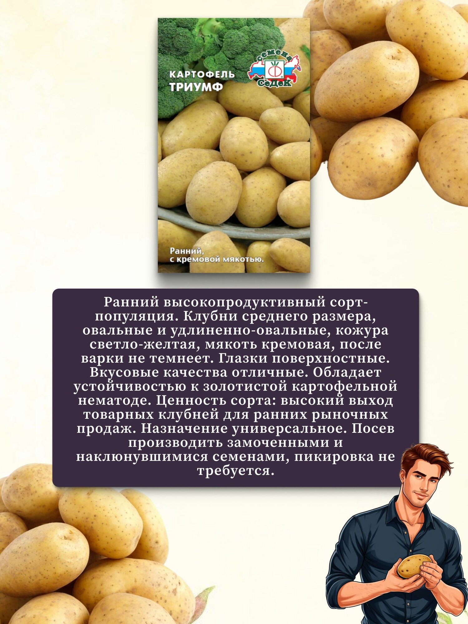 Семена Картофеля 