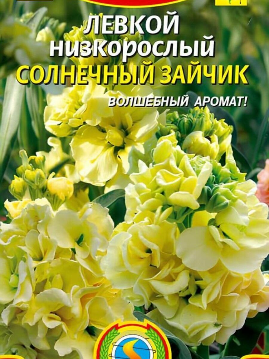 Семена Левкой низкорослый Солнечный зайчик 01 гр Плазменные семена