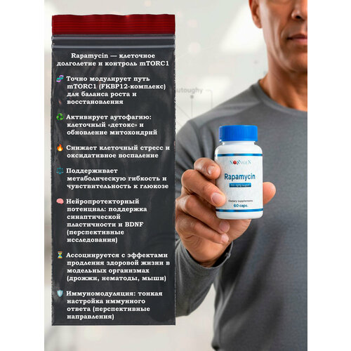 Rapamycin (Рапамуцин). Замедление процессов старения, улучшение метаболизма.