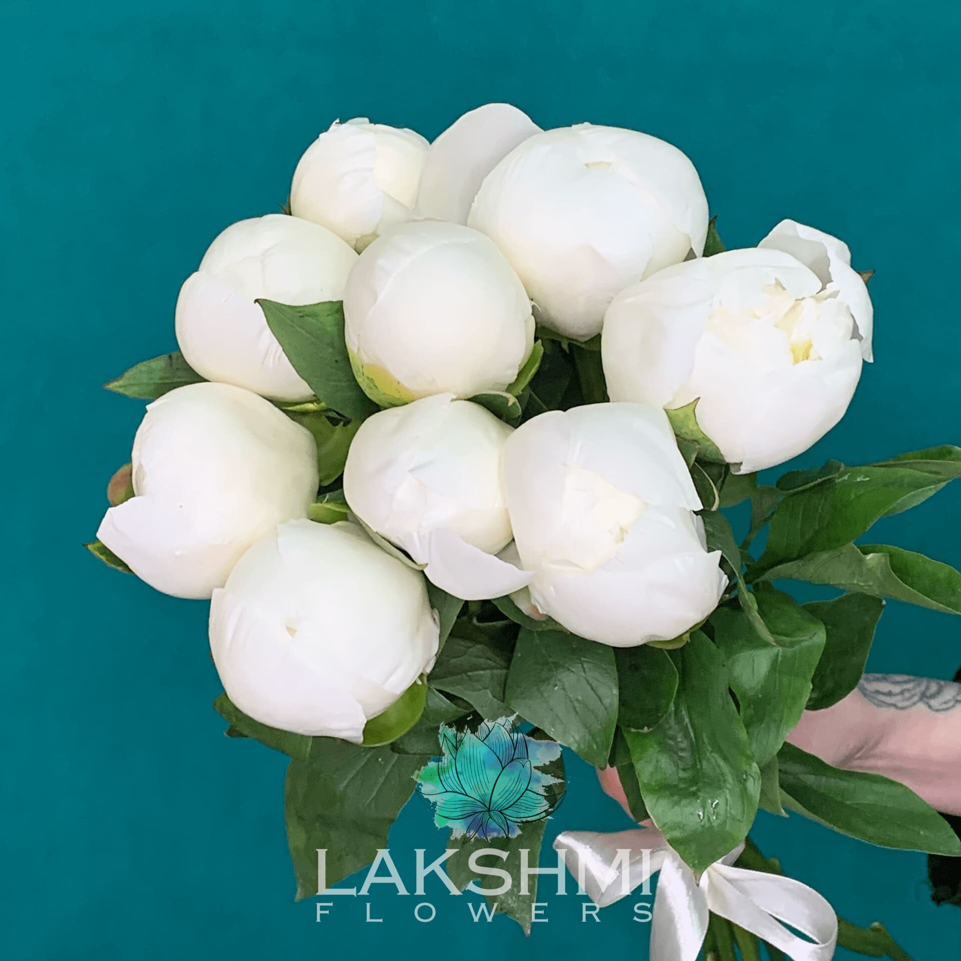 9 белых пионов / Букет из 9 белых пионов под ленту высота 40 см