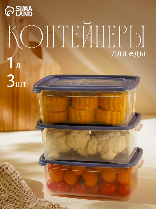 Набор контейнеров для замораживания продуктов «Морозко», 3 шт, 1 л, цвет микс