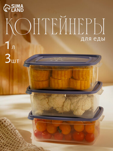 Изображение товара Набор контейнеров для замораживания продуктов «Морозко», 3 шт, 1 л, цвет микс
