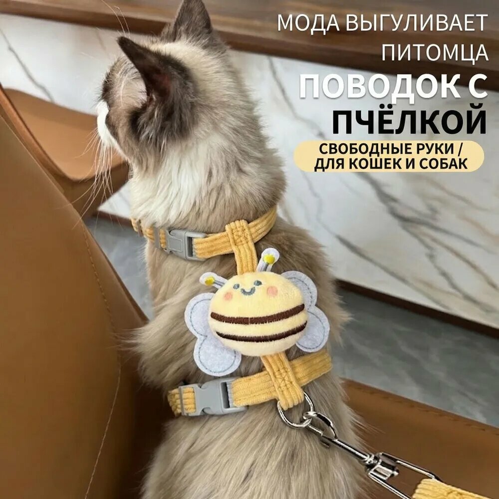 Шлейка для кошек с поводком Пчёлка регулируемая анти-побег шлейка для прогулок с кошкой