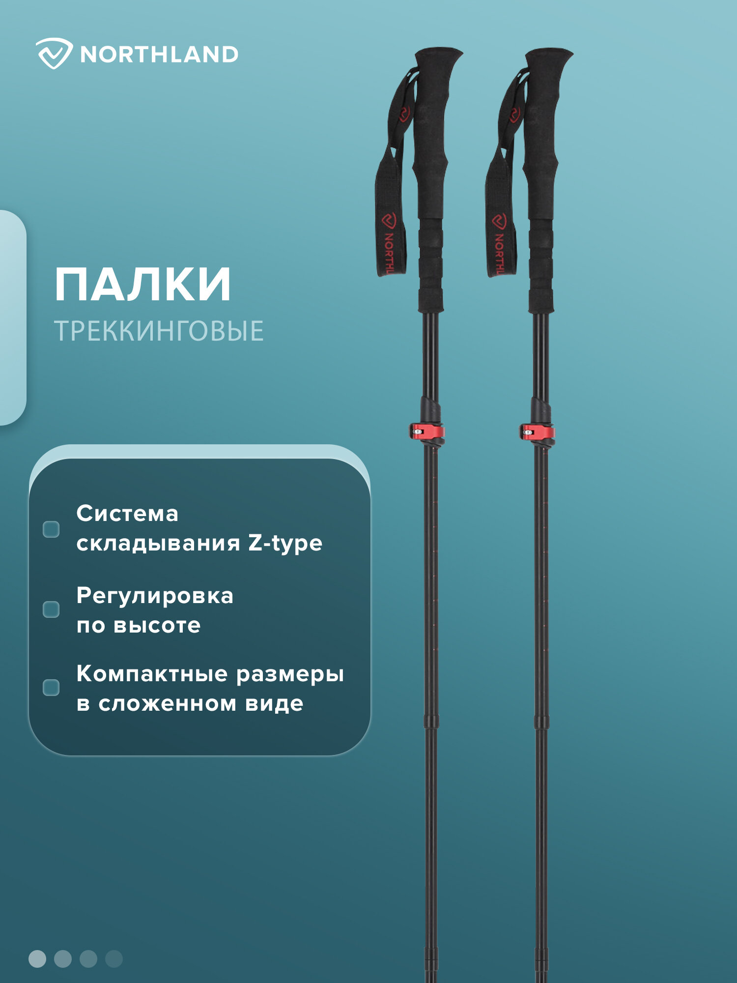 Палки треккинговые Northland Z-type