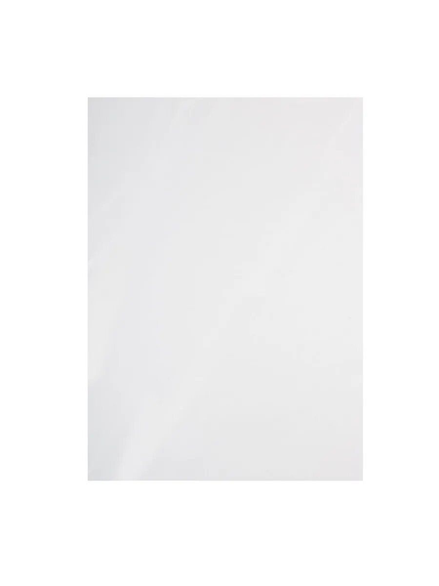 Этикетки самоклеящиеся, 210*297 мм, 50 листов