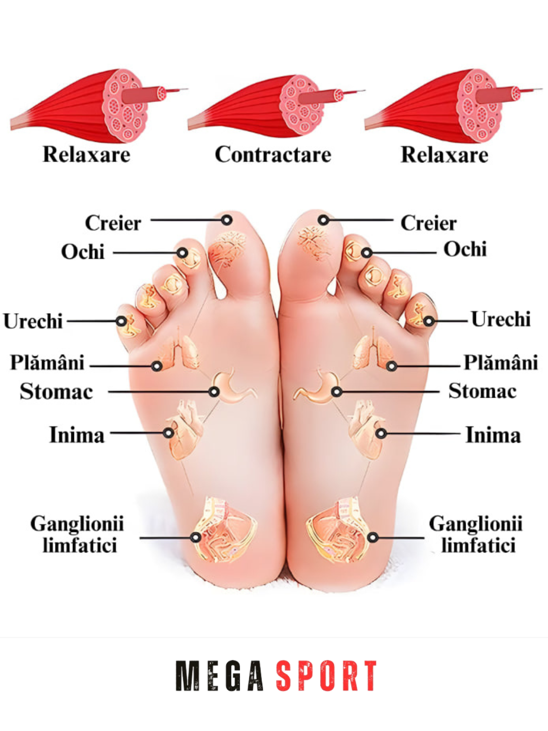 Электрический массажный коврик для ног EMS, 30×29 см — фото 1