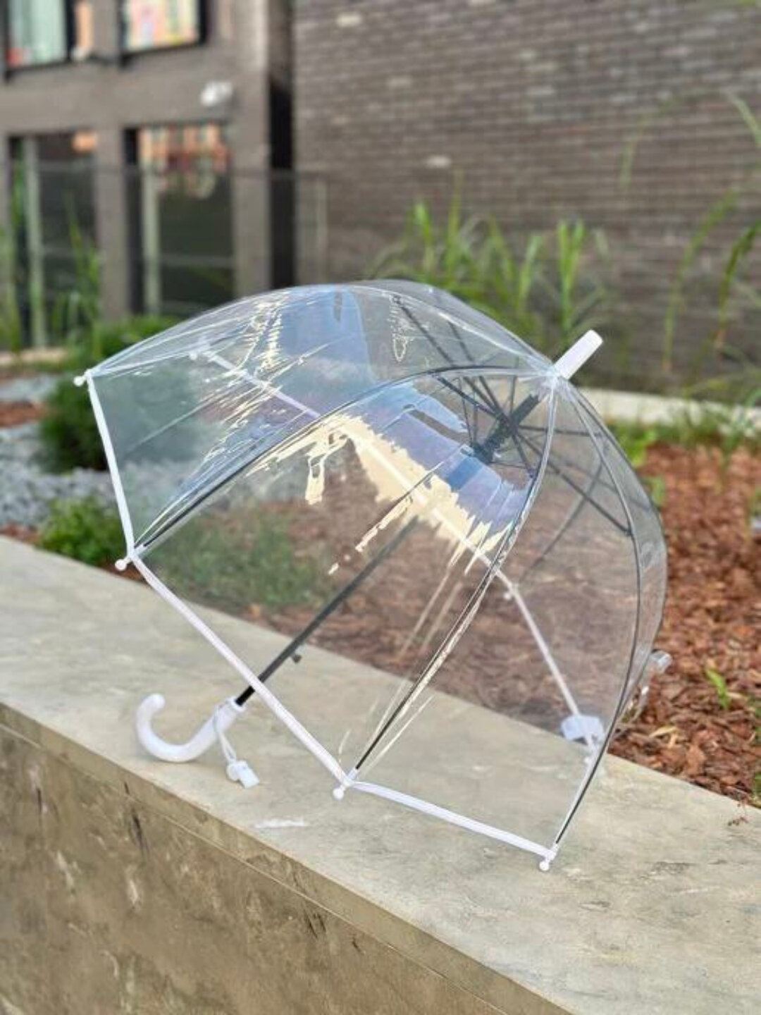 Зонт-трость , бесцветный — фото 1