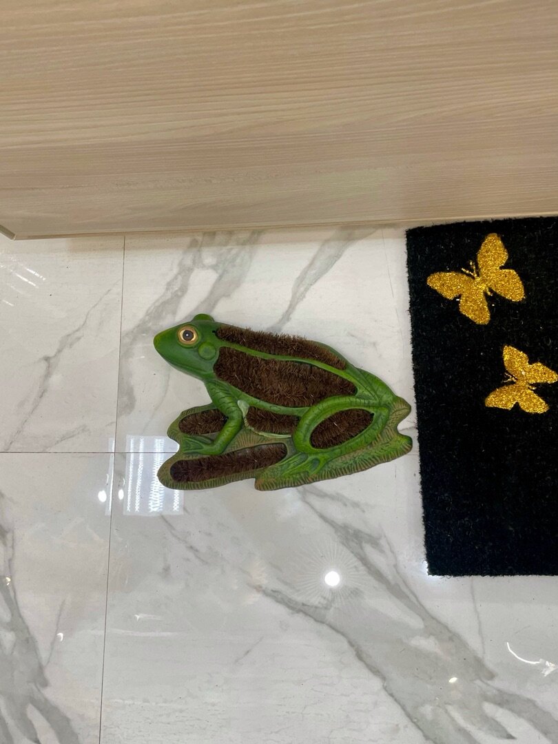 Коврик придверный для чистки обуви Лягушка зеленый Casaentera 36х26х8 см CE09-OT-41387