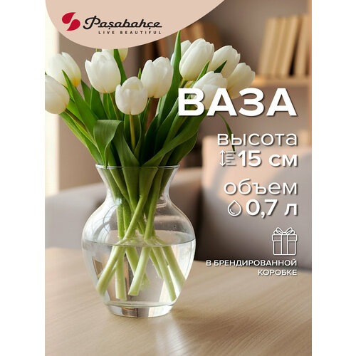 фото Ваза pasabahce ботаника (43206b), прозрачный