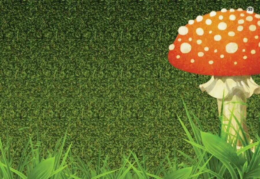 Книга правил Робинс "Асборн. Стереокартинки", для всей семьи — фото 1