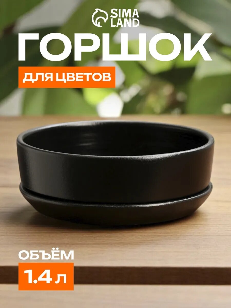 Горшок - бонсайница «Огма» керамический для кактусов и суккулентов 1.4 л 18×6.5 см с поддоном чёрный