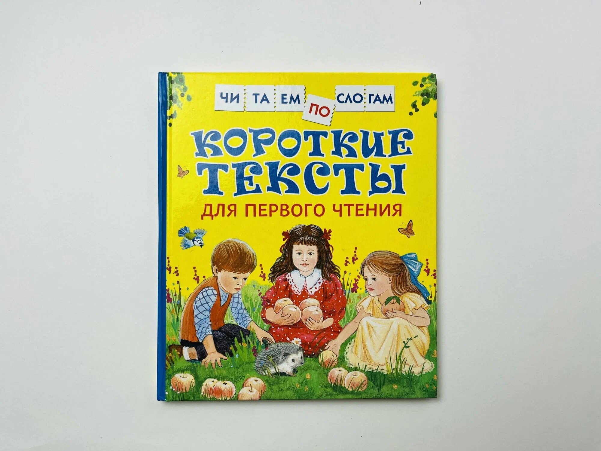 Короткие тексты для первого чтения. Мягкий переплет. Книга на русском языке