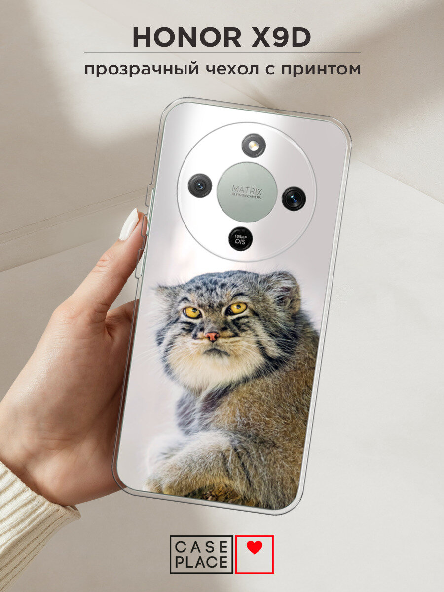 Силиконовый чехол на Honor X9d / Хонор X9d с принтом Кот манул 1