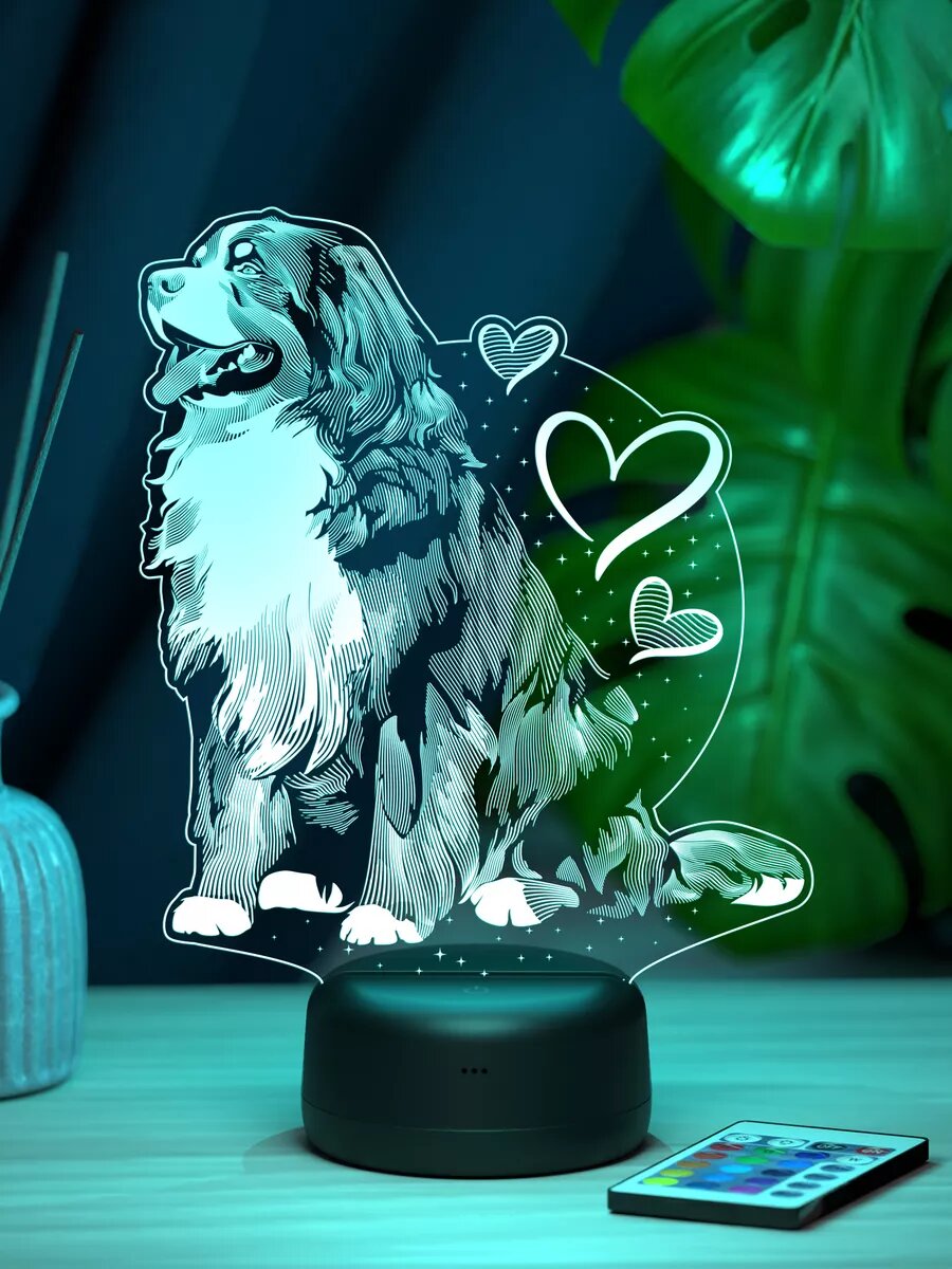 Ночник подарок Бернский зенненхунд