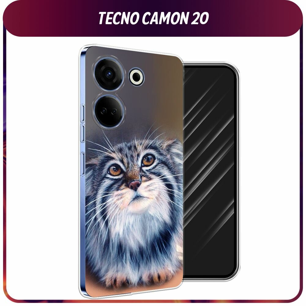 Чехол на Tecno Camon 20/20 Pro 4G / Текно Камон 20/20 Pro 4G с принтом "Кот манул 2"