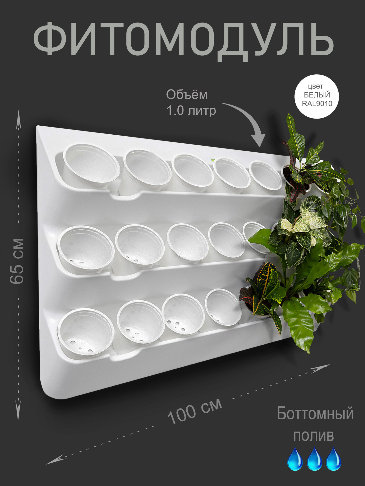 Фитомодуль 