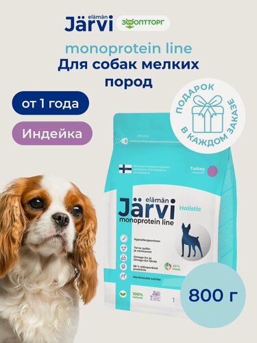 Изображение товара Сухой корм Jarvi Monoprotein line гипоаллергенный holistic для взрослых собак мелких пород с индейкой, 800 г
