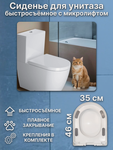 Изображение товара Сиденье для унитаза с микролифтом (быстросъёмный стульчак) 350Х460 мм, U-образное, большое белое