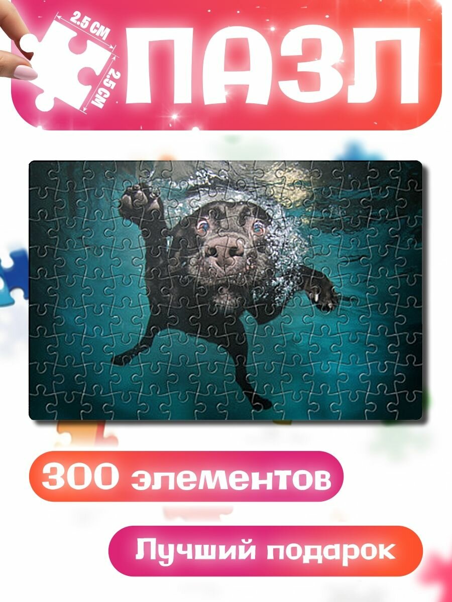 Пазлы для детей и взрослых Пес дайвер